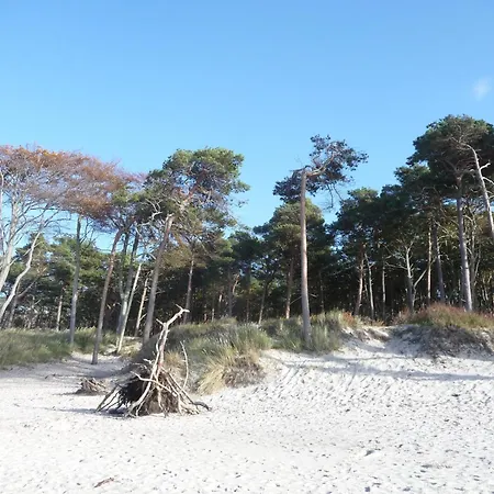 Διαμέρισμα Abendsonne Prerow